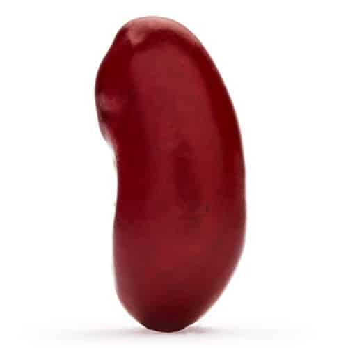 Detail Kidney Beans Images Nomer 5