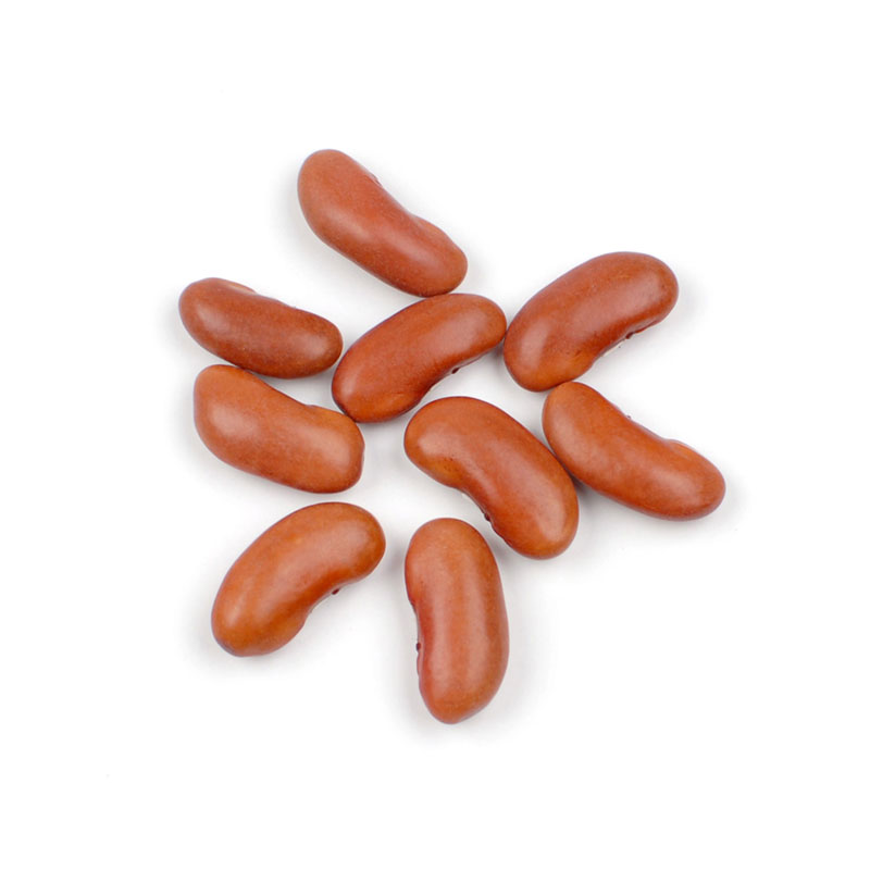 Detail Kidney Beans Images Nomer 46