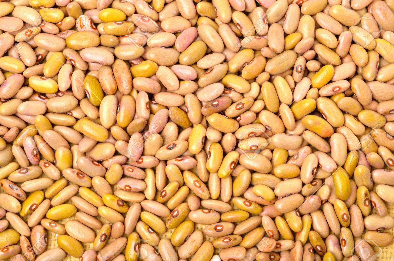 Detail Kidney Beans Images Nomer 48