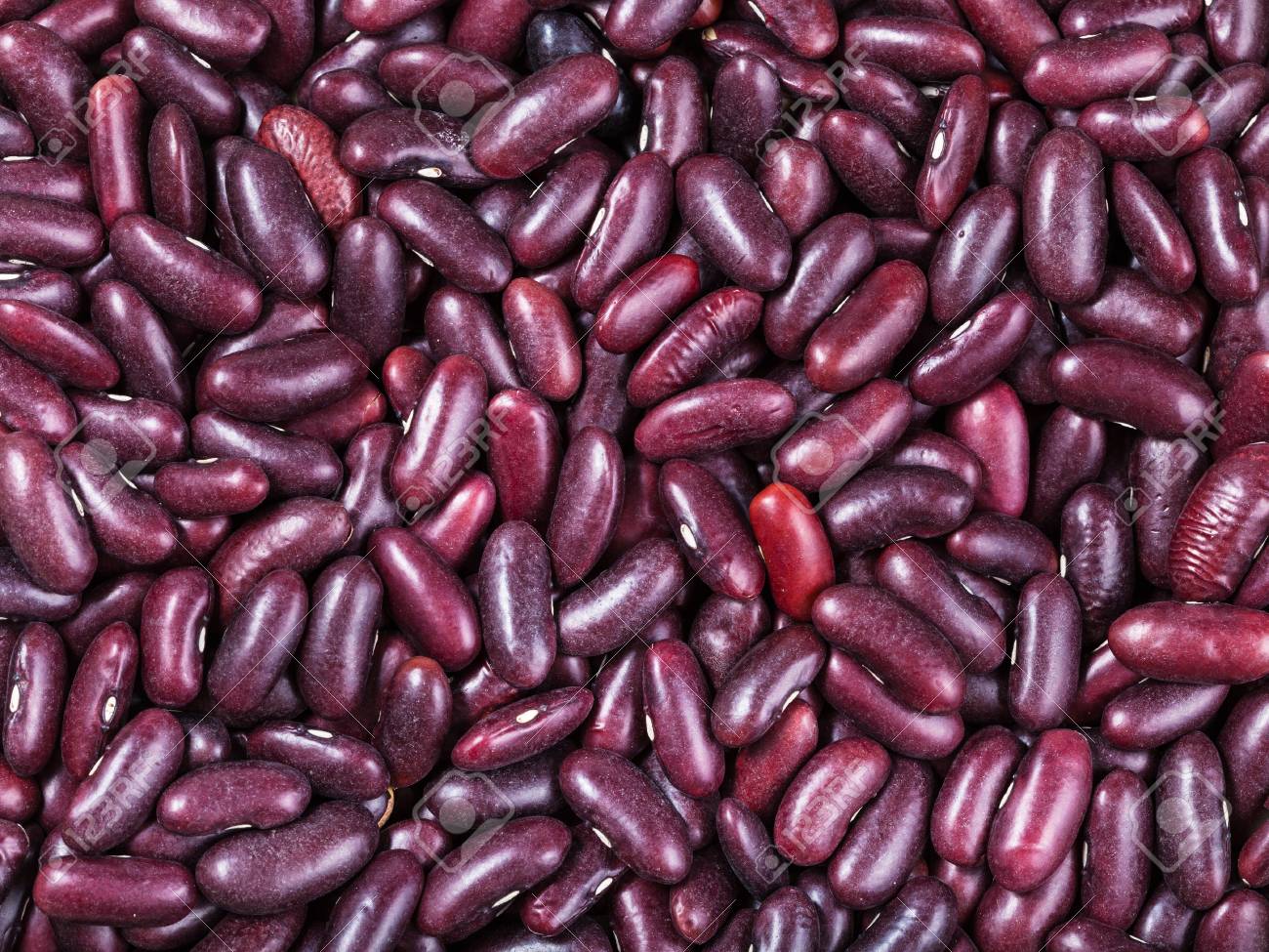 Detail Kidney Beans Images Nomer 53