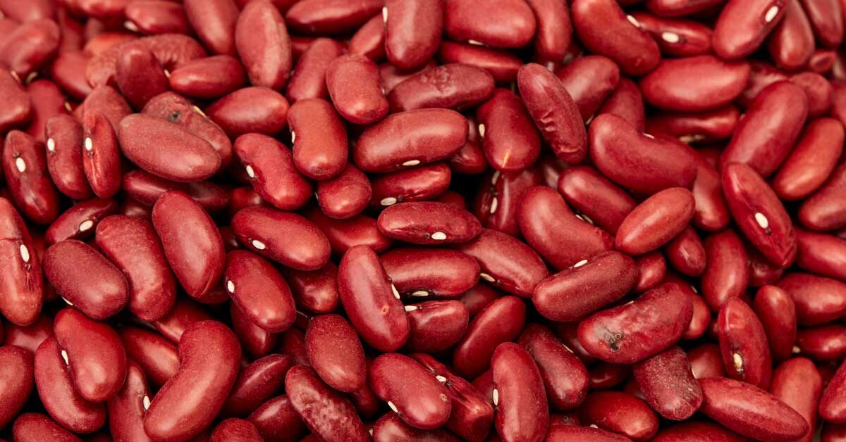 Kidney Beans Picture - KibrisPDR