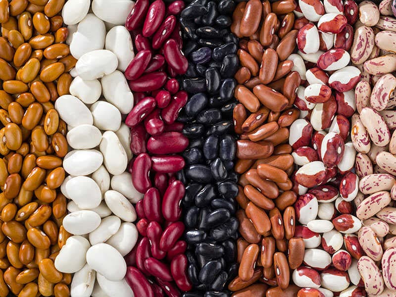 Detail Kidney Beans Picture Nomer 35