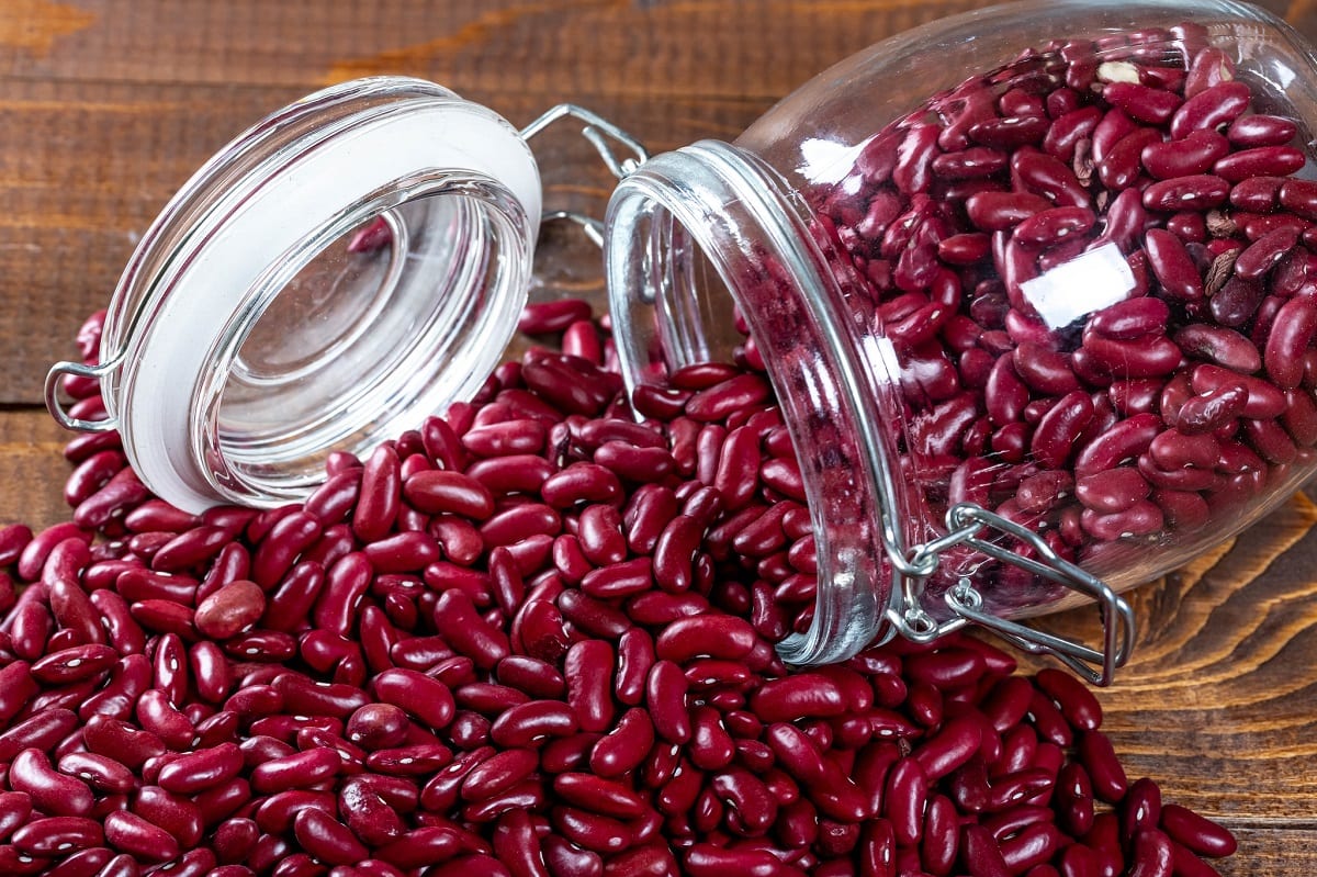 Detail Kidney Beans Picture Nomer 40