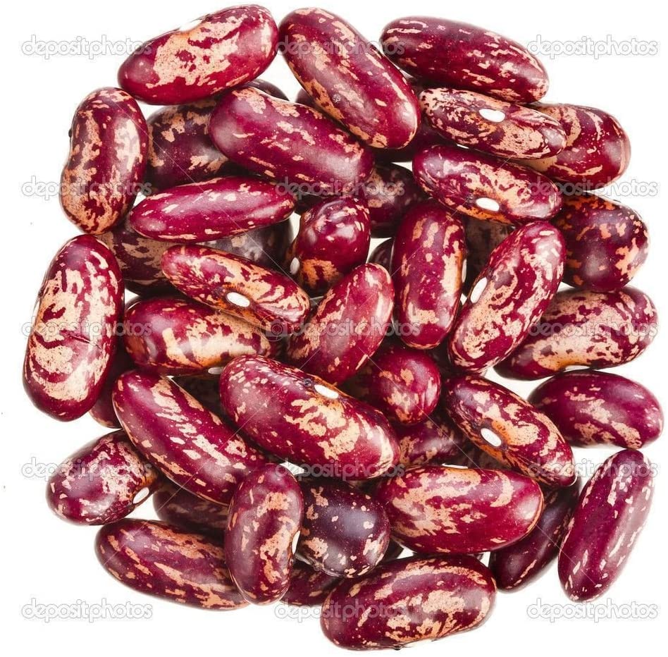 Detail Kidney Beans Picture Nomer 52