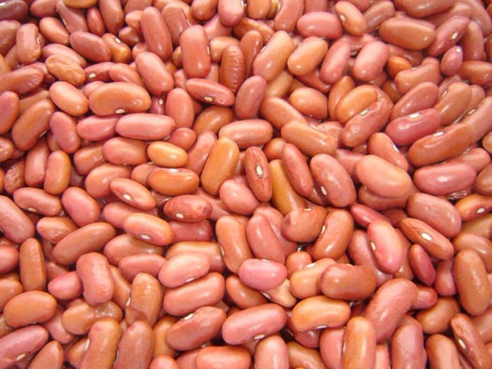 Detail Kidney Beans Picture Nomer 57