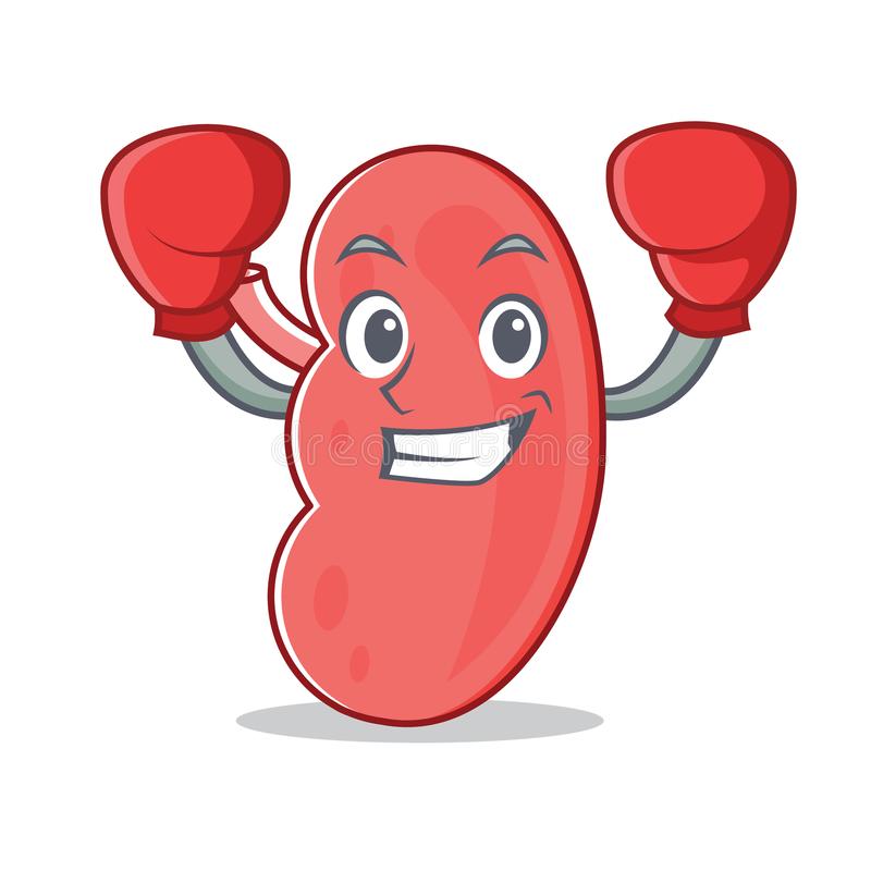 Detail Kidney Clipart Nomer 25