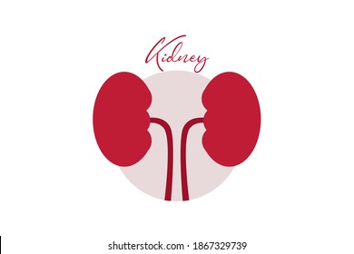 Detail Kidney Clipart Nomer 47