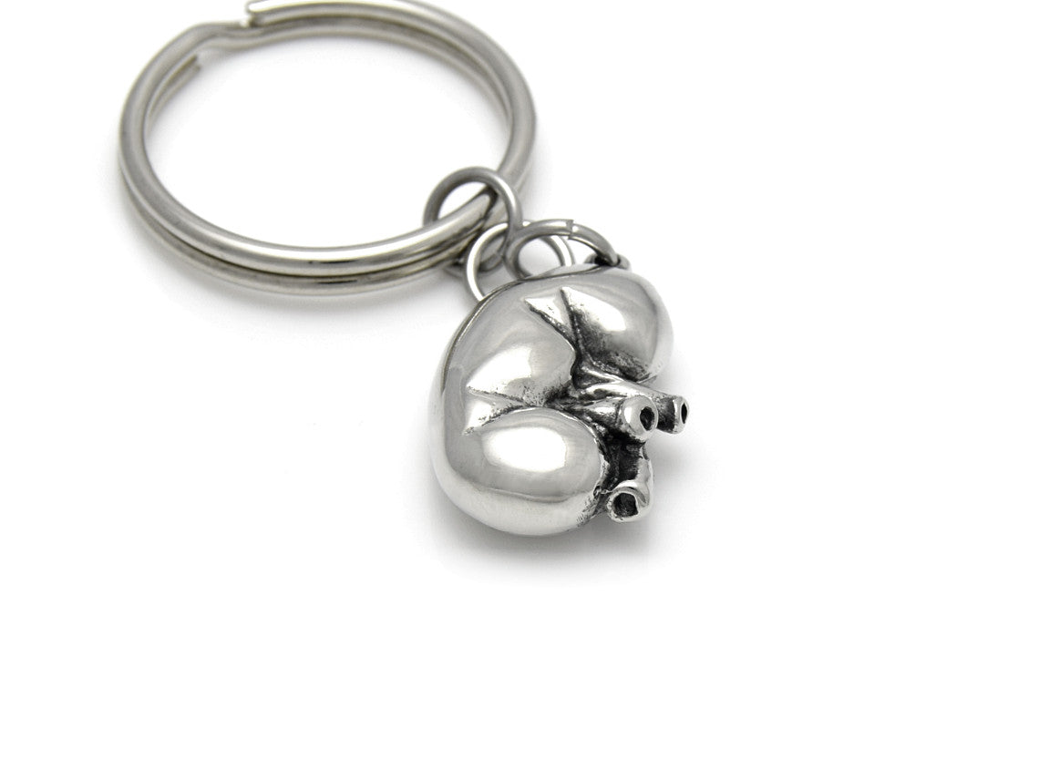 Detail Kidney Keychain Nomer 12