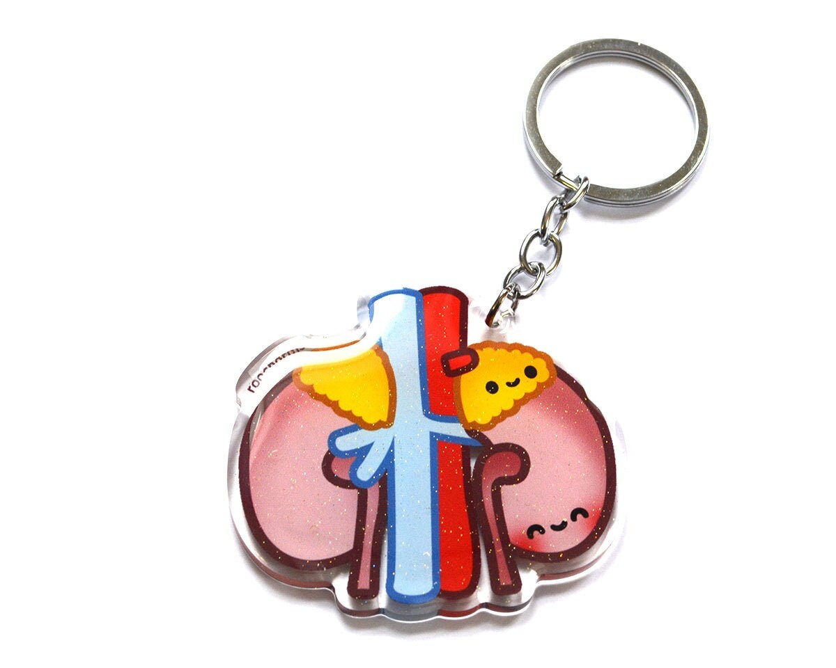 Detail Kidney Keychain Nomer 17