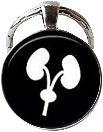 Detail Kidney Keychain Nomer 27