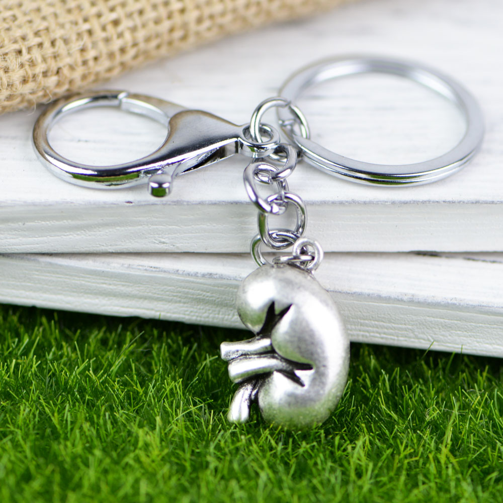 Detail Kidney Keychain Nomer 29