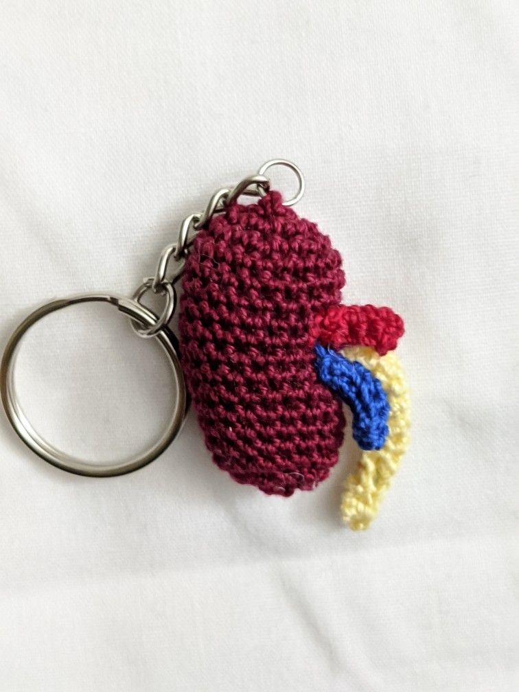 Detail Kidney Keychain Nomer 36