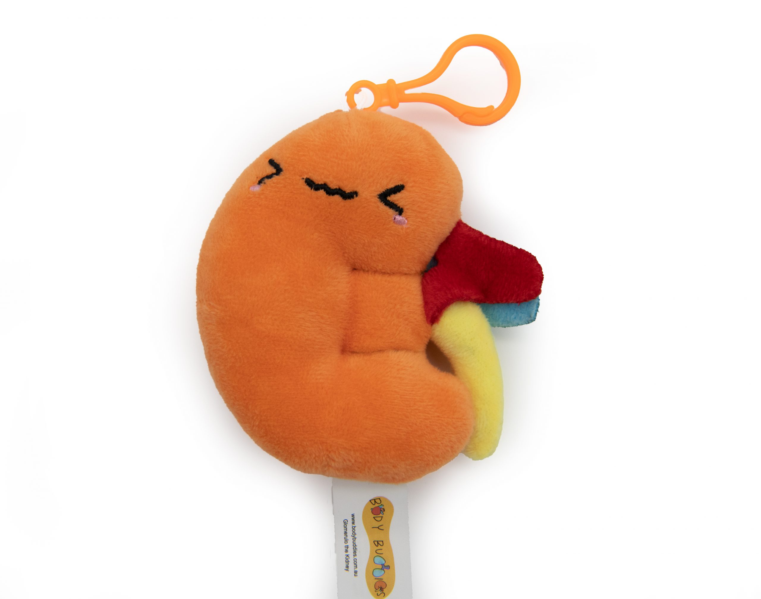 Detail Kidney Keychain Nomer 45