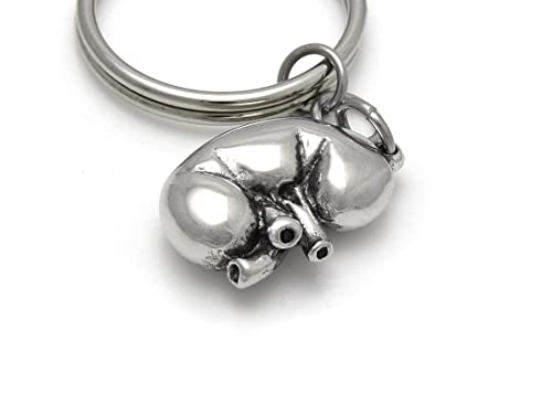 Detail Kidney Keychain Nomer 6