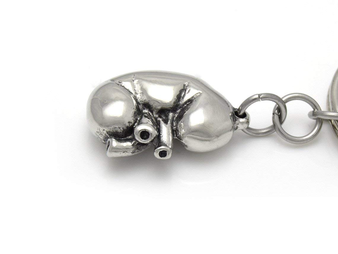 Detail Kidney Keychain Nomer 55