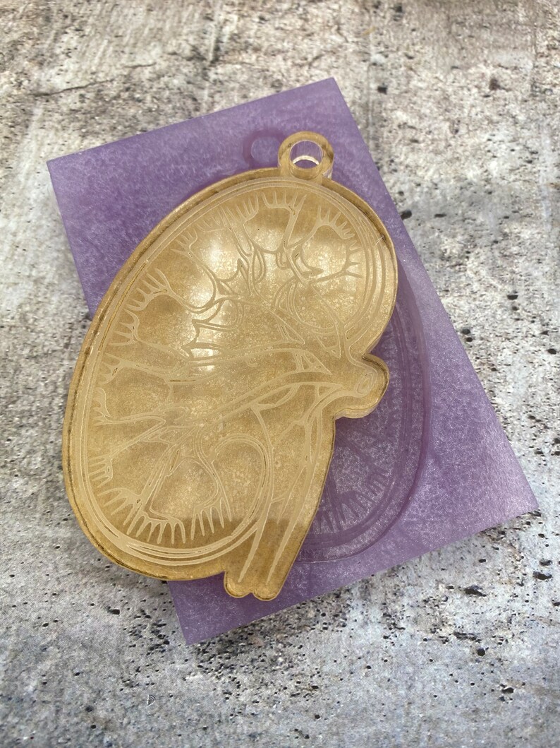 Detail Kidney Keychain Nomer 56
