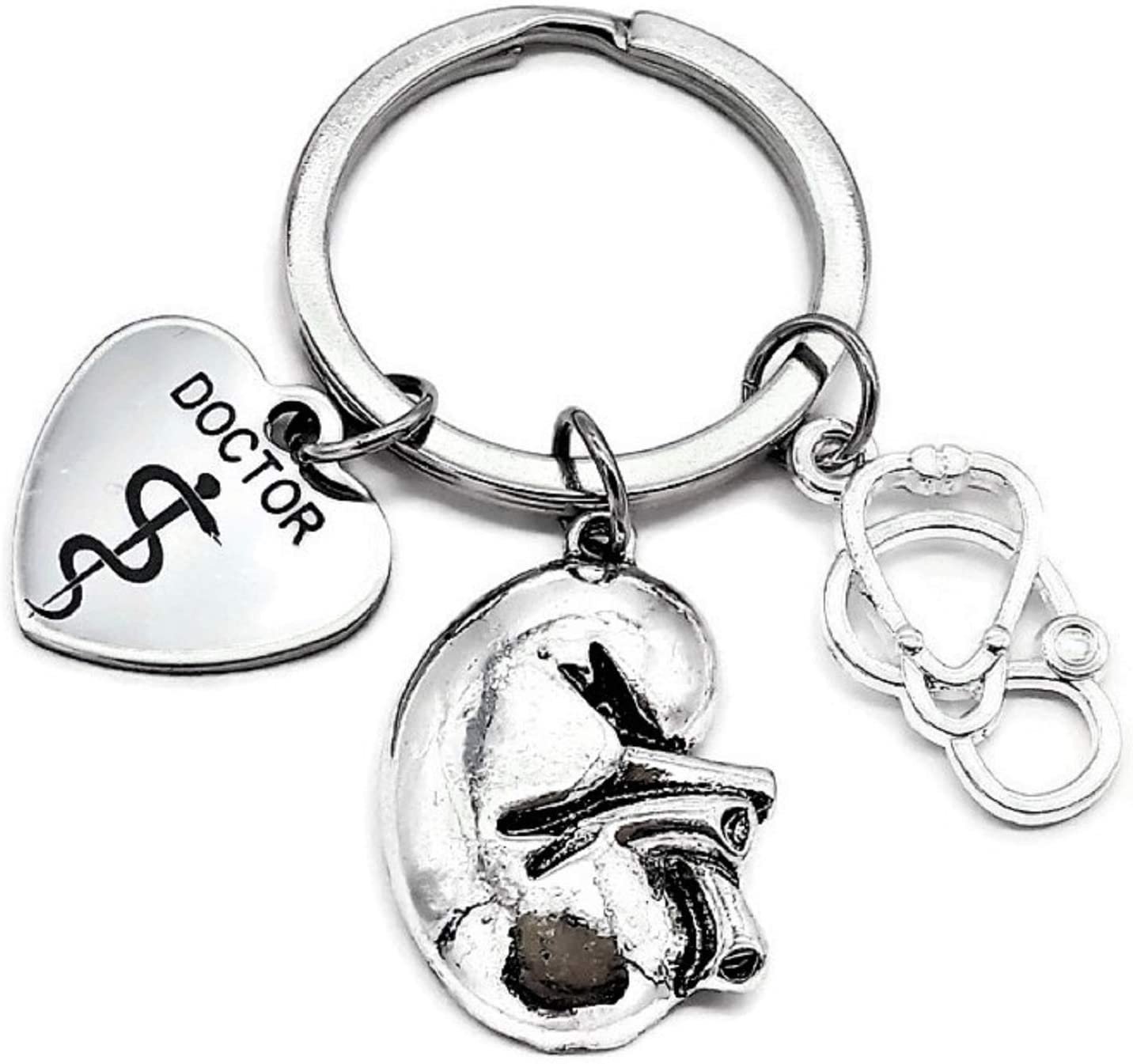 Detail Kidney Keychain Nomer 7