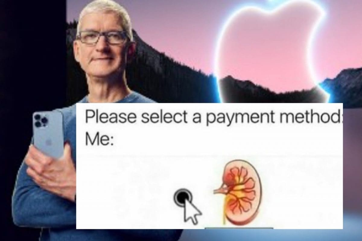 Detail Kidney Payment Meme Nomer 14
