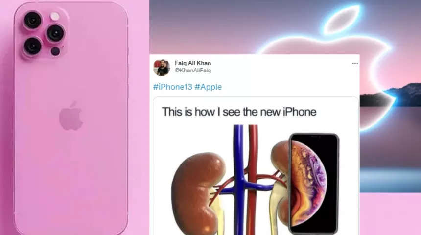Detail Kidney Payment Meme Nomer 22