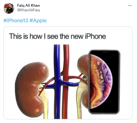 Detail Kidney Payment Meme Nomer 29