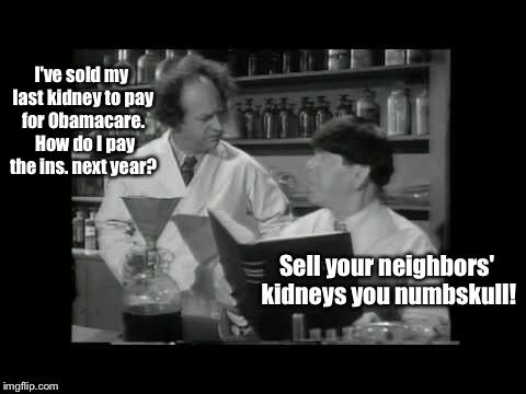Detail Kidney Payment Meme Nomer 33
