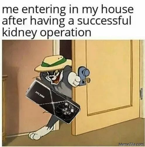 Detail Kidney Payment Meme Nomer 41