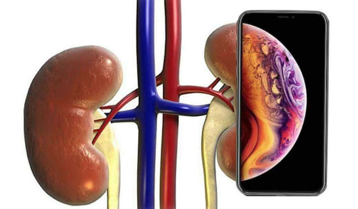 Detail Kidney Payment Meme Nomer 45