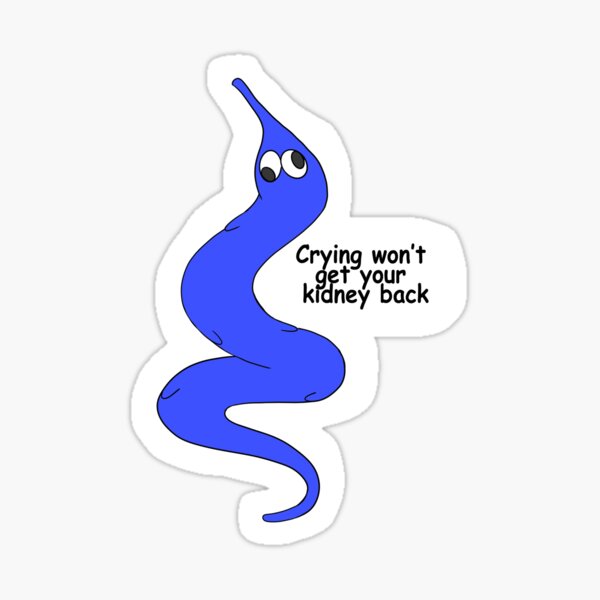 Detail Kidney Payment Meme Nomer 50