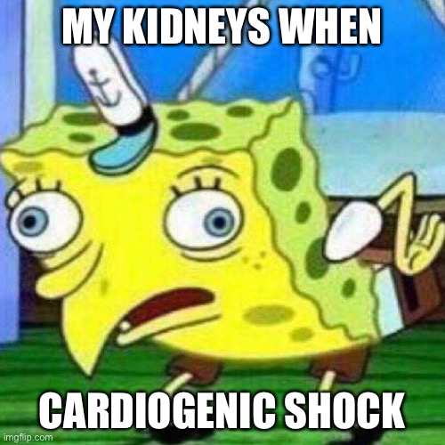 Detail Kidney Payment Meme Nomer 51