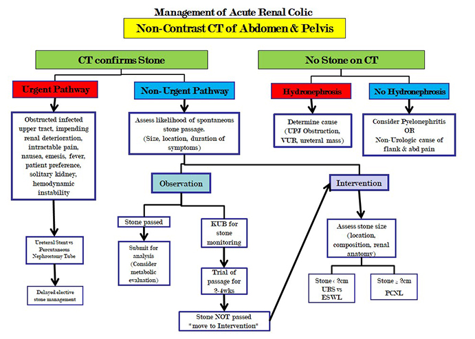 Detail Kidney Stone Ppt Nomer 24