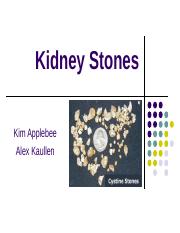 Detail Kidney Stone Ppt Nomer 36