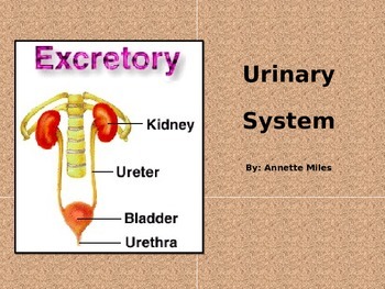 Detail Kidney Stone Ppt Nomer 56
