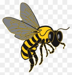 Detail Killer Bee Clipart Nomer 15