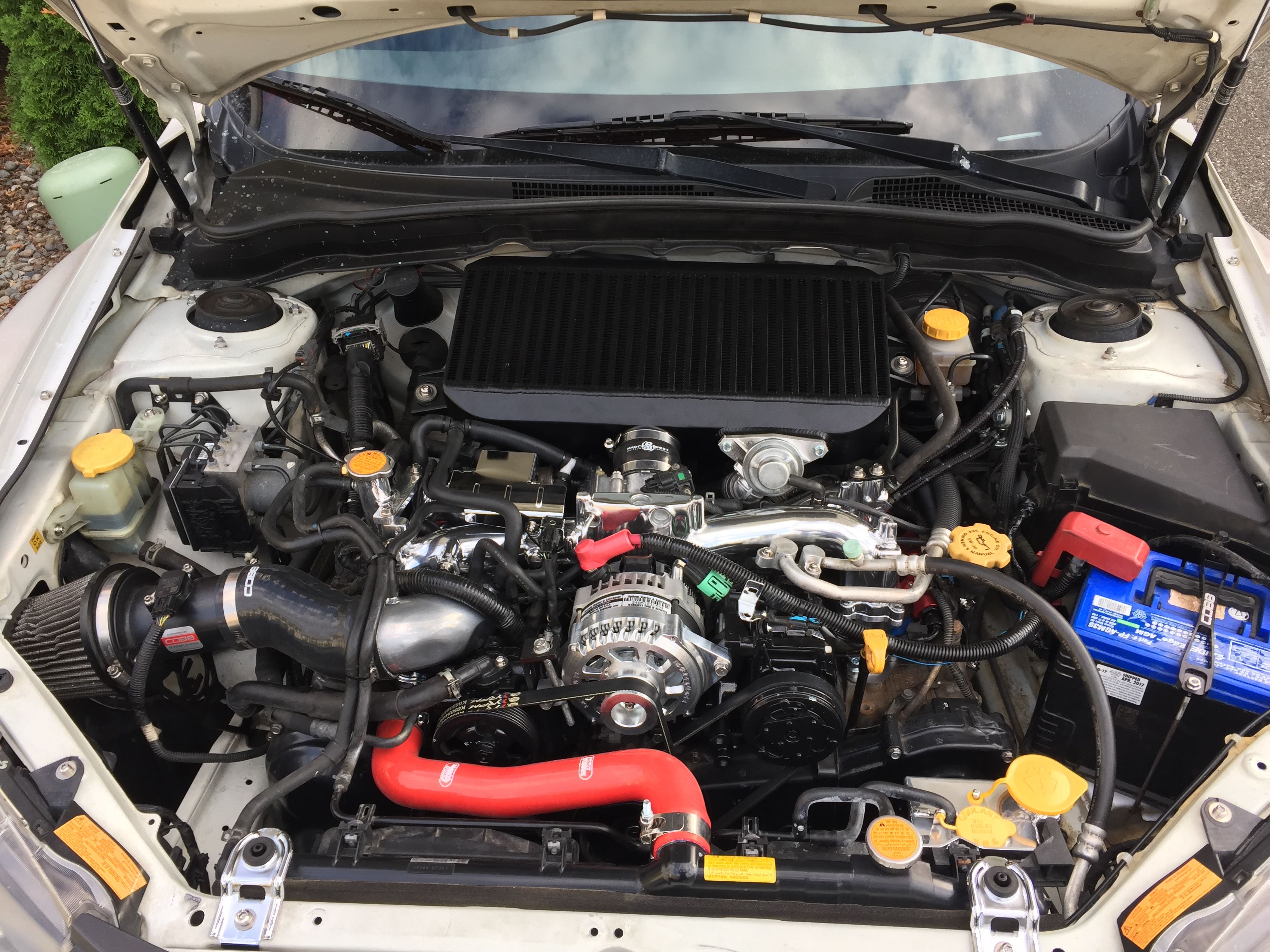 Detail Killer Bee Subaru Nomer 49