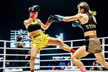 Detail Killer Bees Kickboxing Nomer 14