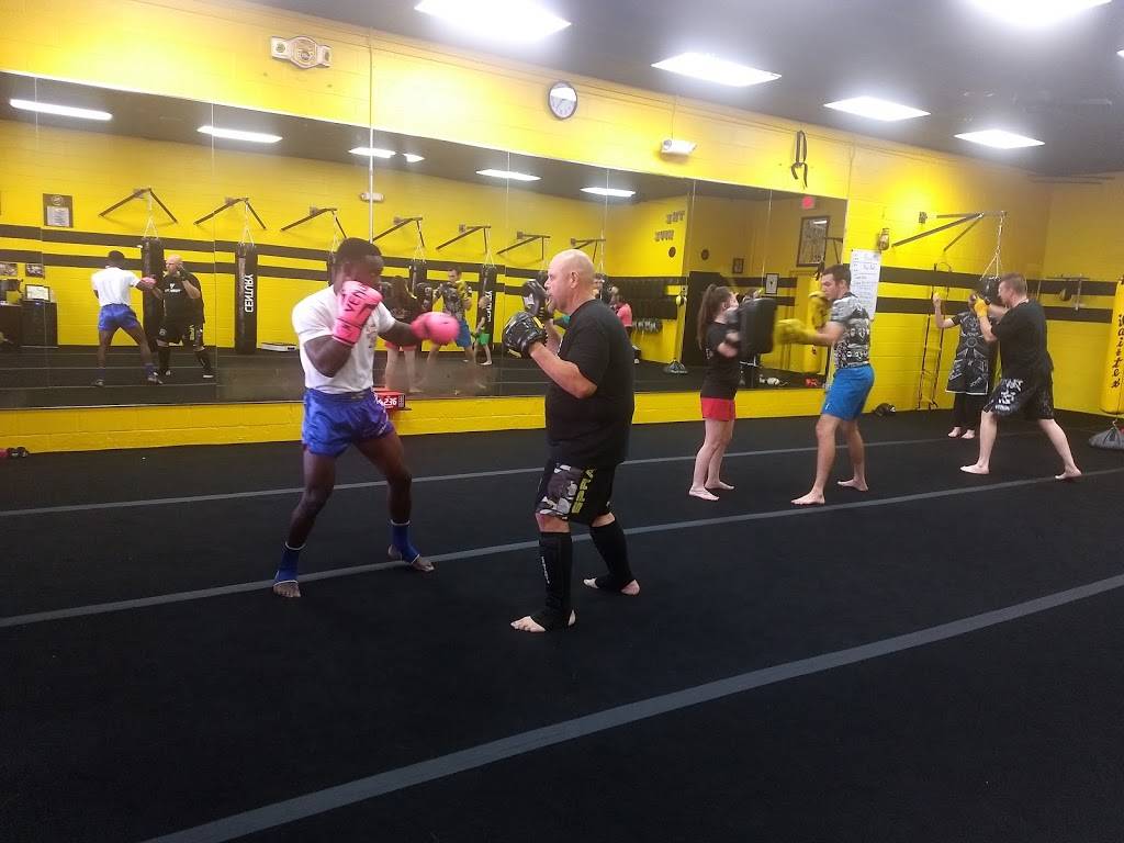Detail Killer Bees Kickboxing Nomer 20