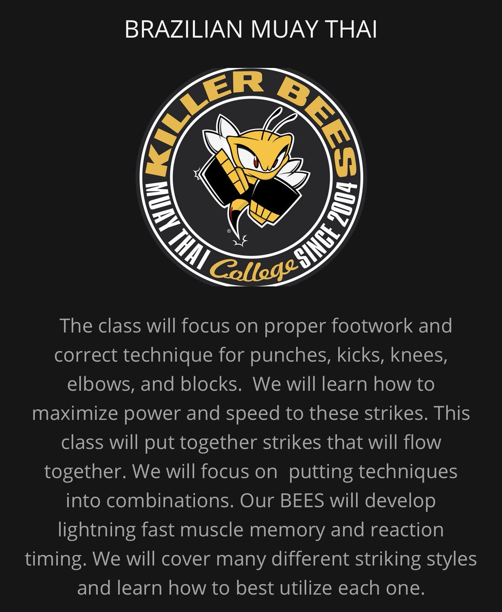 Detail Killer Bees Kickboxing Nomer 39