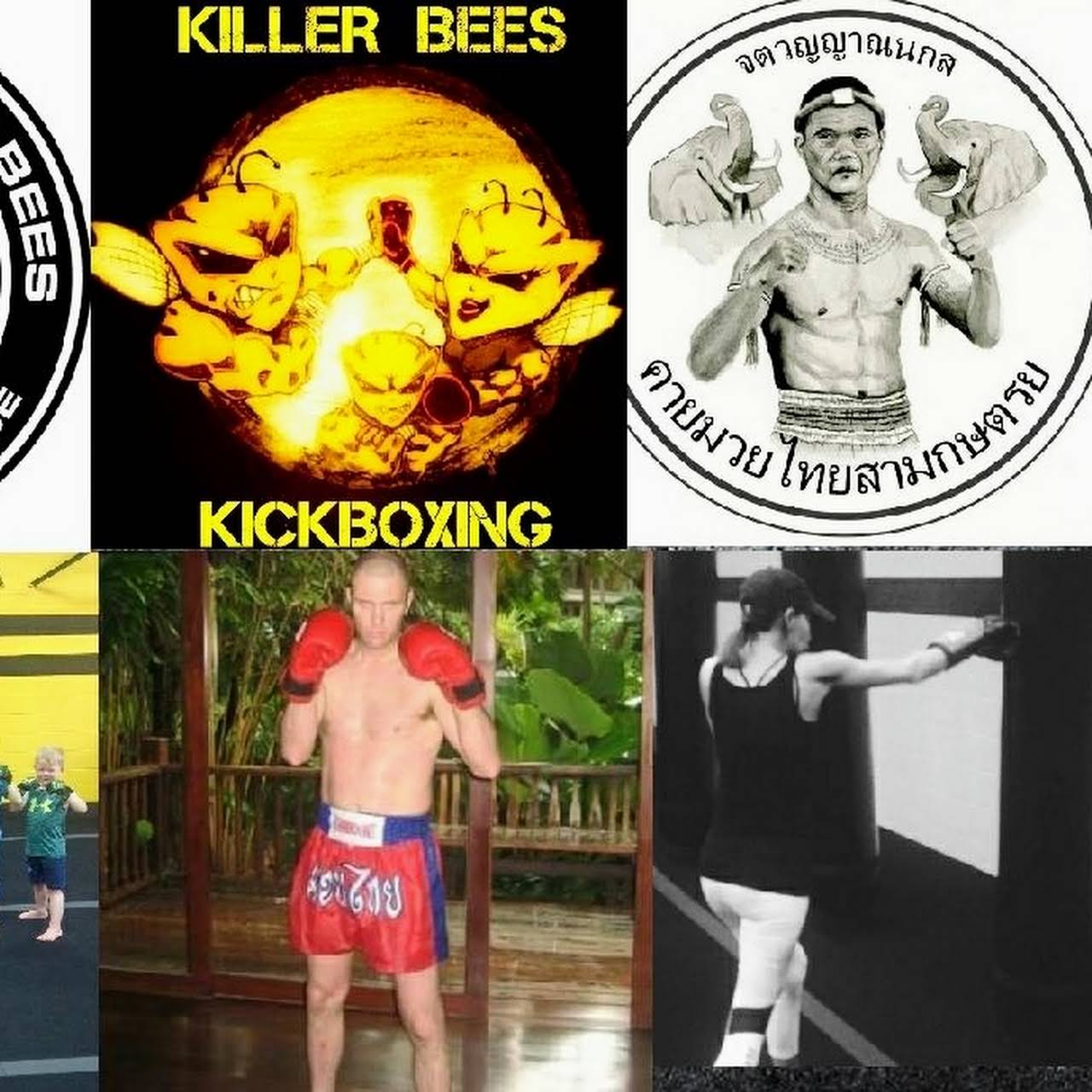 Detail Killer Bees Kickboxing Nomer 40