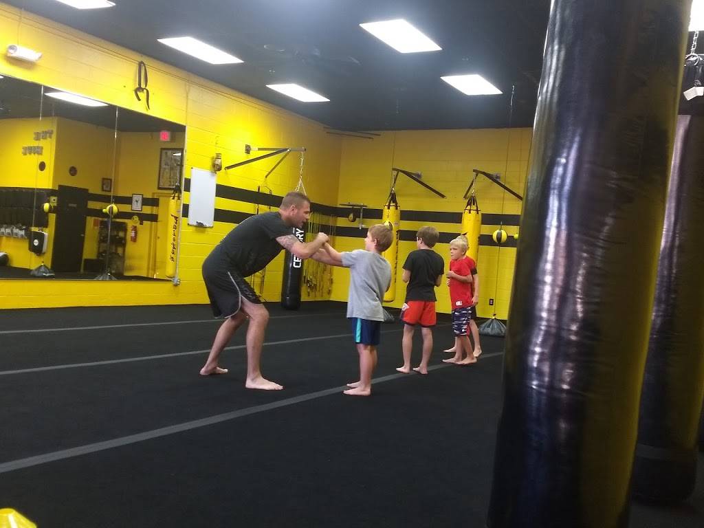 Detail Killer Bees Kickboxing Nomer 10