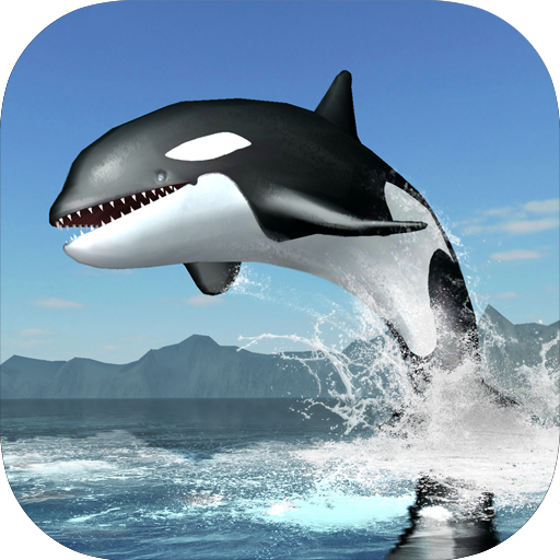 Detail Killer Whale 3d Google Nomer 14