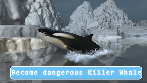 Detail Killer Whale 3d Google Nomer 19