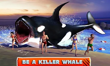 Detail Killer Whale 3d Google Nomer 21