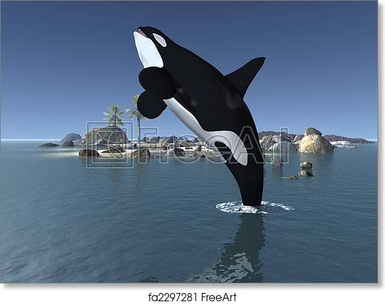 Detail Killer Whale 3d Google Nomer 26