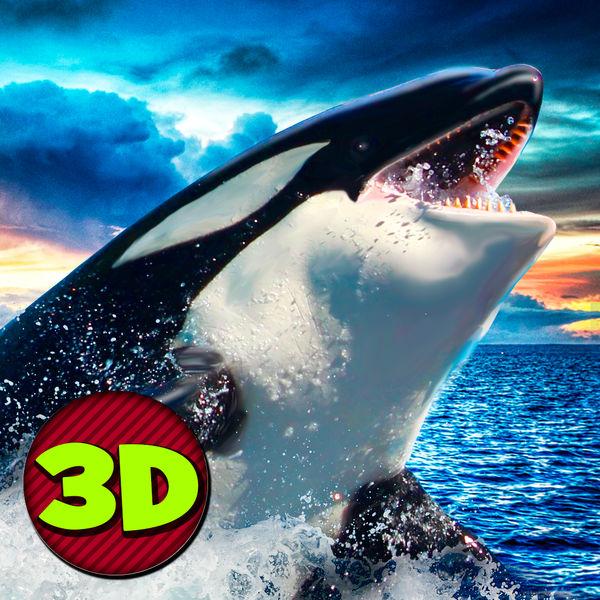 Detail Killer Whale 3d Google Nomer 28