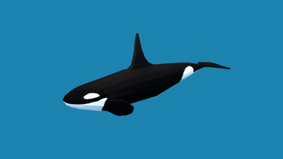 Detail Killer Whale 3d Google Nomer 29