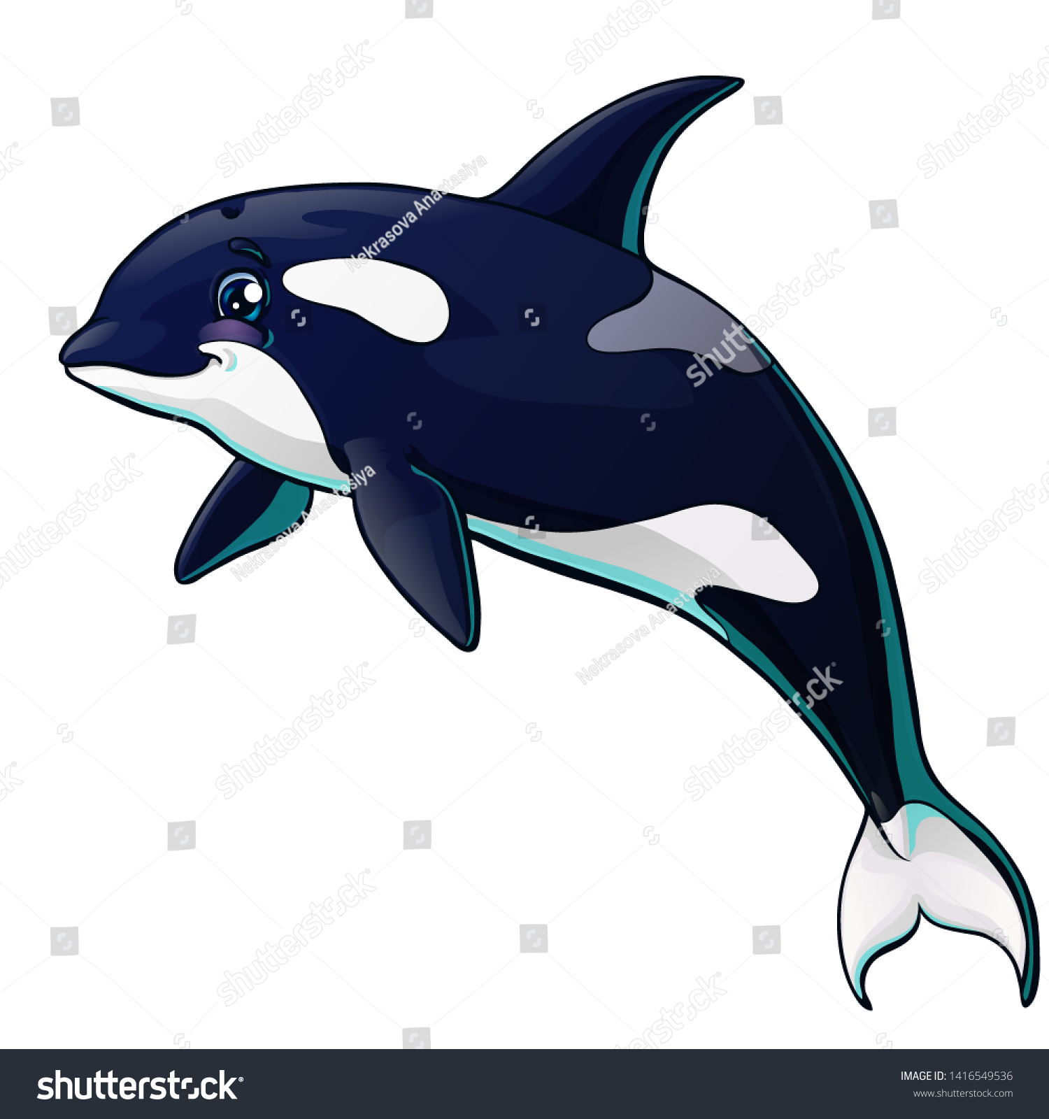 Detail Killer Whale 3d Google Nomer 30