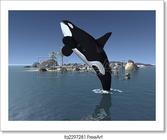 Detail Killer Whale 3d Google Nomer 32
