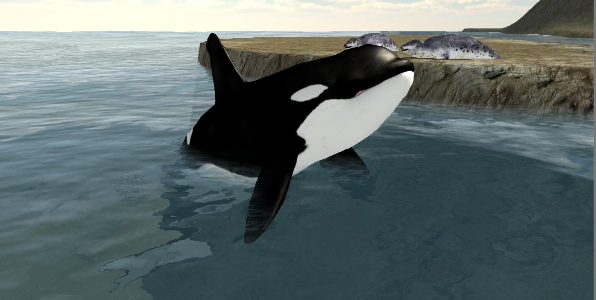 Detail Killer Whale 3d Google Nomer 34