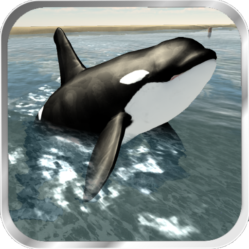Detail Killer Whale 3d Google Nomer 35