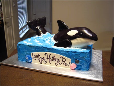 Detail Killer Whale 3d Google Nomer 36